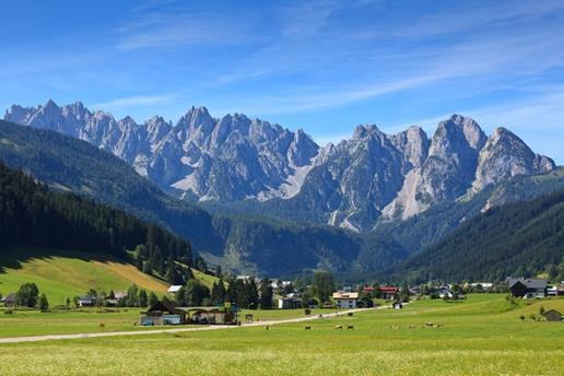 Pension Edelweiss Appartement Wimmer Gosau Exteriér fotografie