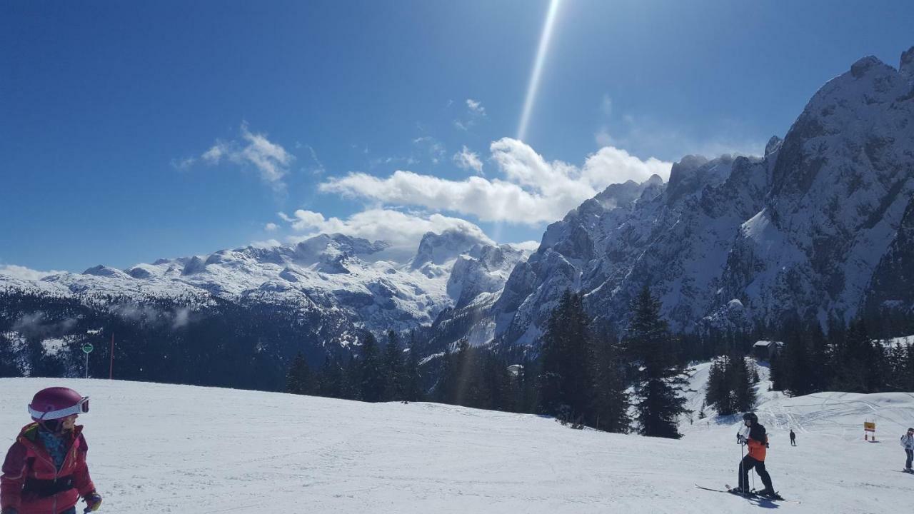 Pension Edelweiss Appartement Wimmer Gosau Exteriér fotografie