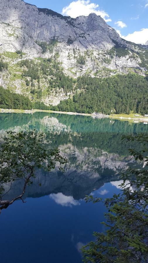 Pension Edelweiss Appartement Wimmer Gosau Exteriér fotografie