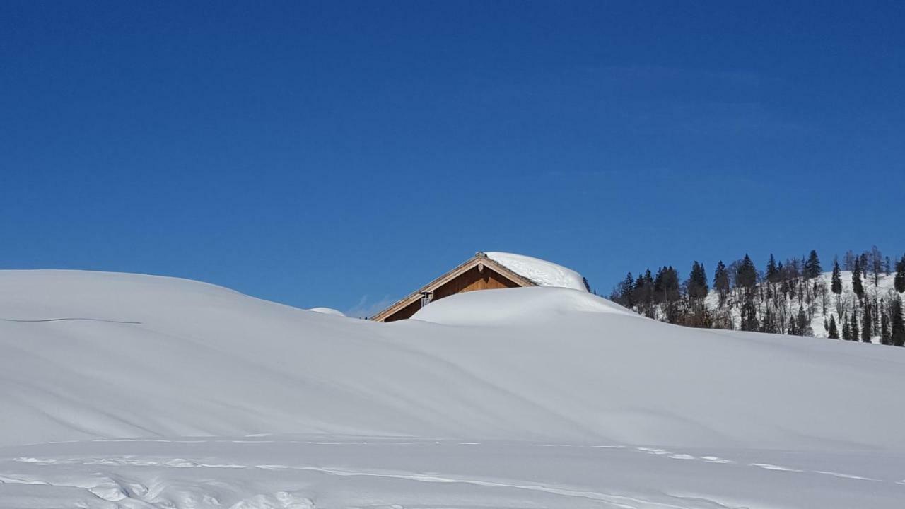 Pension Edelweiss Appartement Wimmer Gosau Exteriér fotografie